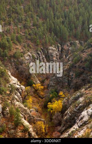 Walnut Canyon, Walnut Canyon National Monument, Arizona Stock Photo