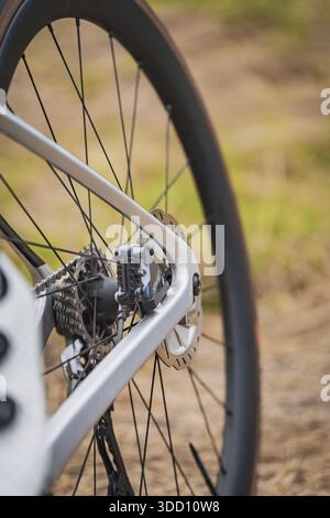 Close-up of the rear pane of a bicycle with focus on the spokes and brake disc, Triathlon, Calw, Germany Stock Photo