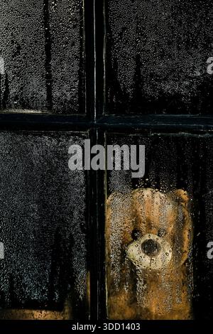 Teddy bear behind window covered in droplets Stock Photo