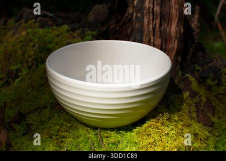 Empty plain white ceramic food bowl on a moss log in the forest. Stock Photo