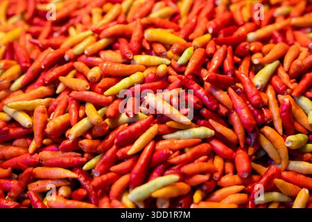 Close-up red and green chillies Stock Photo