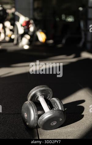 Close up photo of two 5kg dumbbells stacked on top of each other illuminated by dappled sunlight Stock Photo