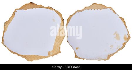 Two round torn pieces of paper with coffee stains on an isolated background Stock Photo