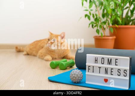 Exercise equipment with home fitness lightbox and ginger cat relaxing on floor Stock Photo