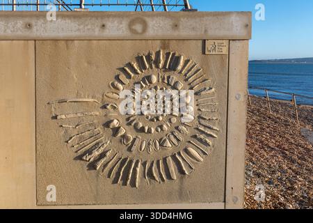 Spiral pattern or artwork made with shells and stones on concrete beach huts at Milford-on-Sea, Hampshire, England, UK Stock Photo