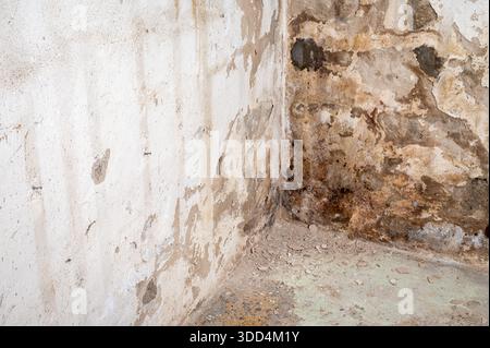 A corner of a room with peeling paint and mold on the walls. Stock Photo