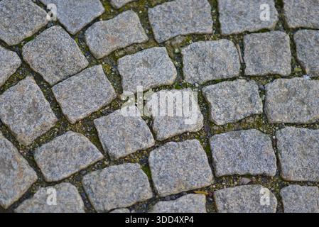 Cobblestone pavement texture with natural stone blocks and green grass and moss. Urban street surface background, old city road pattern, outdoor stone Stock Photo