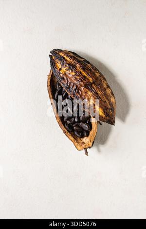 Fresh and dry cocoa beans from cocoa pod over white texture background. Flat lay, space Stock Photo