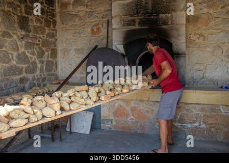 Young man baking bread in traditional wood-fired oven Stock Photo
