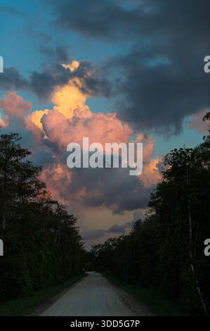 Colorful sunset sky above the Loop Road Scenic Drive, Florida, with a white heron flying Stock Photo