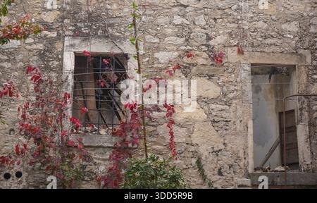Detailed view of a ruined stone wall with barred windows and red creepers in Archanes. An evocative image of architectural decay. Stock Photo