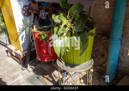 Vintage red metal bucket repurposed as a planter with green succulents, sitting on a decorative stand next to an old sewing machine in Nazareth. Stock Photo