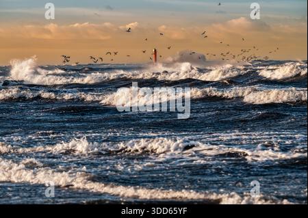 Dramatic seascape showing powerful waves crashing on Baltic Sea with red lighthouse in background and flock of birds flying over turbulent water on Ma Stock Photo
