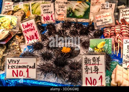 Sea urchins lie freshly opened on ice for sale at Kuromon Ichiba Market in Osaka, Japan (officially licensed since 1902, its roots as a trading place reaching back to the early 19th century). Handwritten signs recommend them as "No. 1" goods, with squid and oysters displayed alongside. Stock Photo