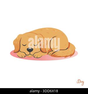 A sweet golden retriever puppy curled up asleep—eyes gently closed, paws tucked in, and a peaceful expression of pure contentment. Stock Vector