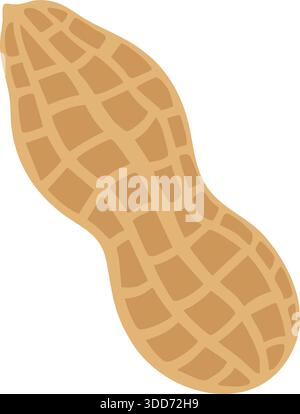 A single tan peanut in its textured shell shown in close detail. Stock Vector