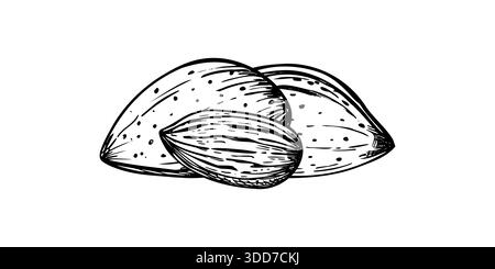 Almond nuts heap monochrome vector isolated composition. Etching drawing of one peeled kernel and two whole nuts in shells. Healthy food pile Stock Vector