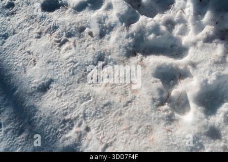 Texture of ground covered in snow. Trampled snow illuminated by the sun. Cold and uneven ground. Stock Photo