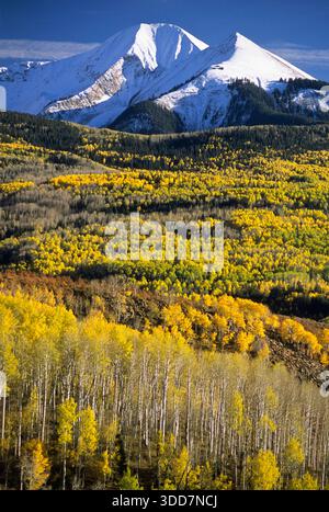 Aspen trees burst with fall color below the snowy peaks of the La Sal Mountains in Manti-La Sal National Forest, Utah. Stock Photo