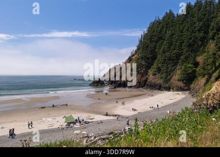 Tall trees growing on steep cliffside above Indian Beach, OR Stock Photo