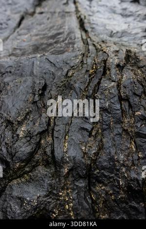 Close-up of dark natural stone with golden mineral veins, showing rugged texture and geological details Stock Photo