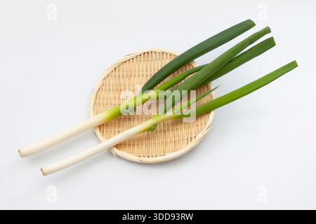 green onion on bamboo strainer on white background Stock Photo