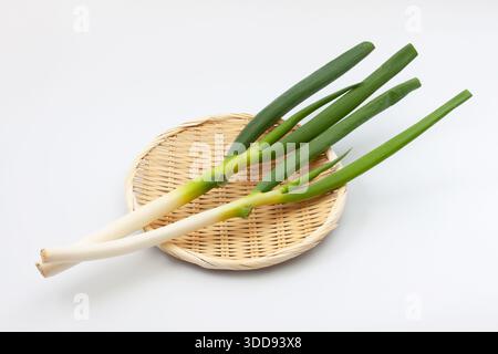 green onion on bamboo strainer on white background Stock Photo
