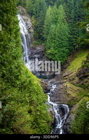 A scenic view of Lower Wallace Falls cascading through a lush, moss-covered forest within Wallace Falls State Park Stock Photo