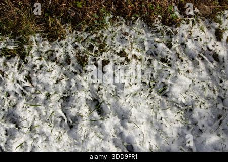 Melting snow on green grass showing seasonal change from winter Stock Photo