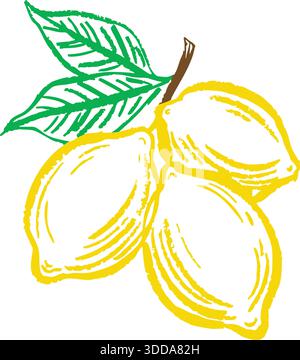 Hand drawn illustration of three bright yellow lemons attached to a leafy green branch on a white background. Stock Vector