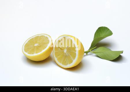 Lemon with leaf, cut in half, Citrus x limon Stock Photo
