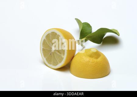 Lemon with leaf, cut in half, Citrus x limon Stock Photo