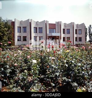 Slavyansk, Ukraine, USSR, 1980s. Scenic view of the Central City Library building behind a large blooming rose garden. The two-story structure features white brick architecture with a distinctive rhythmic facade of concave walls. Red, pink, and white roses fill the foreground, creating a colorful frame. This archival image captures the urban landscaping and modernist civic architecture of the Soviet era Stock Photo