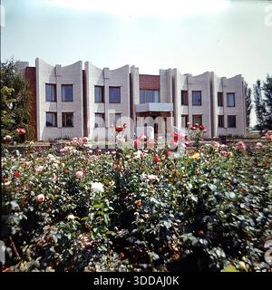 Slavyansk, Ukraine, USSR, 1980s. Scenic view of the Central City Library building behind a large blooming rose garden. The two-story structure features white brick architecture with a distinctive rhythmic facade of concave walls. Red, pink, and white roses fill the foreground, creating a colorful frame. This archival image captures the urban landscaping and modernist civic architecture of the Soviet era Stock Photo