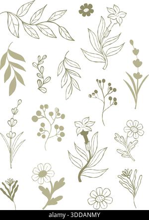 Floral Vector Element Set Flower Leaf Branch Collection Hand Drawn Botanical Line Art Illustration Isolated on White Background for Wedding Invitation Stock Vector