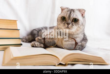 Cute cat plays with glasses and open books close up Stock Photo