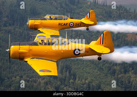 North American BC-1 and T-6J Harvard Mk IV, registration C-FVYF, serial 243, military code 20243, MSN CCF4-34, flying with AT-16 Harvard II, CF-PST, serial 3776, MSN 81-4043, in formation at the Abbotsford International Airshow, Canada, 2025. Air-to-air view shows fuselage, wings, tail assembly, cockpit, propeller, engine, landing gear, and control surfaces. Demonstrates historic trainer aircraft operation, formation precision, and airshow flight performance. Stock Photo