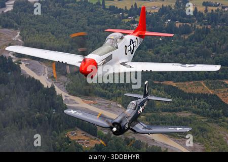 A North American P-51D Mustang and a Vought F4U-7 Corsair are shown flying in close formation at the Abbotsford International Airshow in Canada. The Mustang bears registration NL551D, serial 1364, while the Corsair carries registration NX1337A, serial 133732. The air-to-air image highlights their coordinated flight and preserved military aircraft characteristics during the 2025 event. Stock Photo