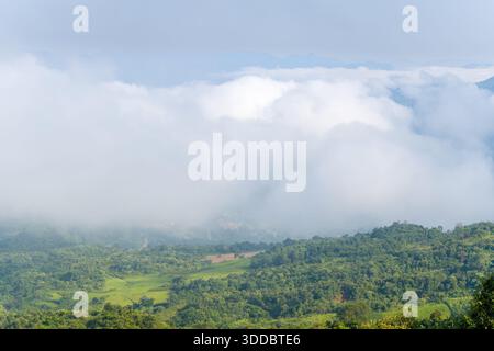 Thick white clouds blanket the vibrant green hills of Dien Bien, Vietnam, creating a soft, dreamy landscape under diffused daylight. The scene feels serene and expansive, with mist obscuring the distant horizon. Stock Photo