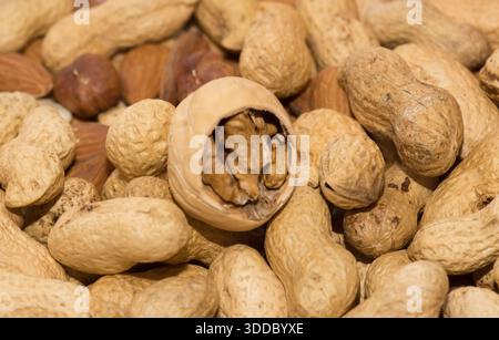 Closeup view of mixture of different types of tree nuts in the shells Stock Photo