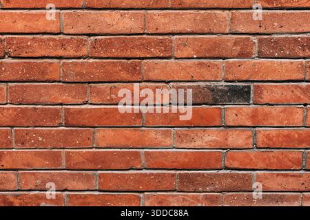 Red brick wall showing a single black brick disrupting the uniform pattern, creating a sense of individuality and difference Stock Photo
