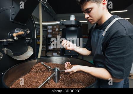 Male worker in an apron checking the quality of roasted beans at cooling drum. Employee at the factory pouring coffee beans from one hand to another a Stock Photo