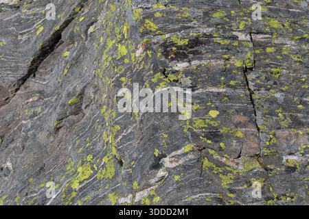 Natural stone background texture with detailed surface Stock Photo