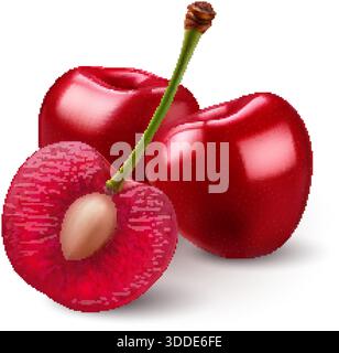 Three ripe, sweet Cherrys on white background. The cherries are both a deep red color with smooth, shiny skins. The halved cherry reveals the juicy, l Stock Vector