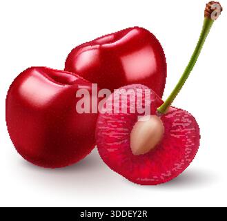 Three ripe, sweet Cherrys on white backdrop. The cherries are both a deep red color with smooth, shiny skins. The halved cherry reveals the juicy, lig Stock Vector