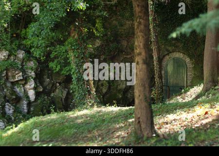 A secret green door nestled inside a wooded area. Stock Photo