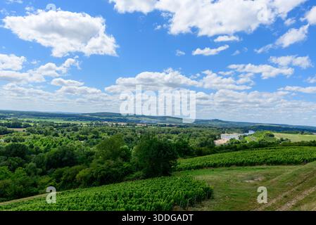 Sweeping vineyard rows overlook a lush green valley and winding river beneath a sky filled with scattered white clouds in Pouilly sur Loire. The scene is vibrant, spacious, and illuminated by bright summer light. Stock Photo