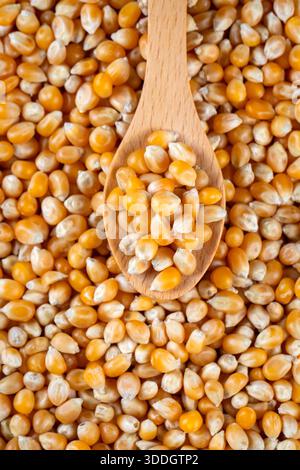 Dried corn kernels on a white background (raw legumes). Stock Photo
