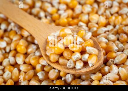Close-up of dried corn kernels. Stock Photo