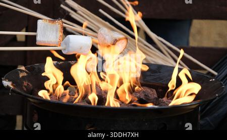 Toasting marshmallows on long sticks over open brasier outdoors. Stock Photo